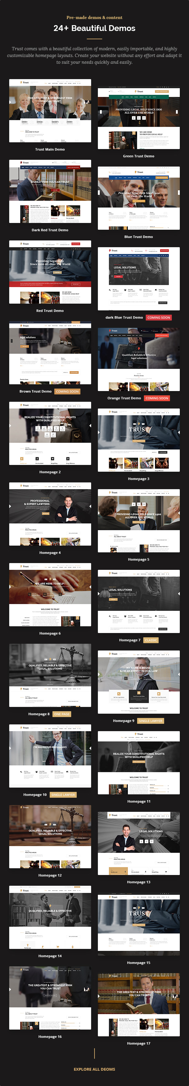 Trust Business - Lawyer and Attorney WordPress Theme - 5