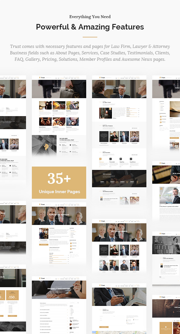 Trust Business - Lawyer and Attorney WordPress Theme - 10